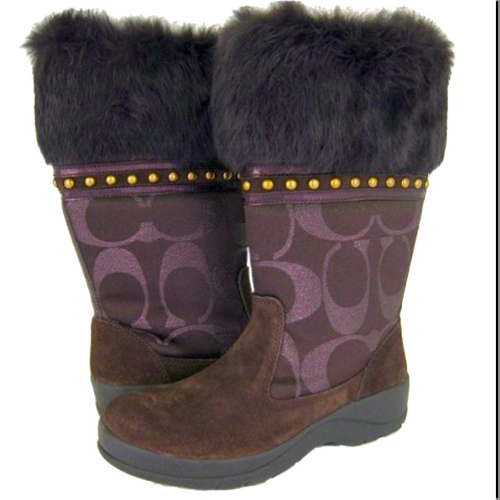 COACH Lesly suede boots